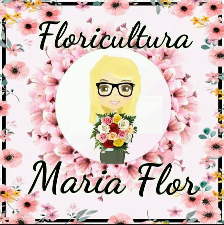 Floricultura Maria Flor